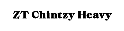 ZT Chintzy Heavy