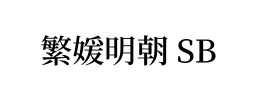 繁媛明朝 SB